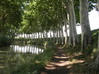 Along the Canal du Midi , Southern France